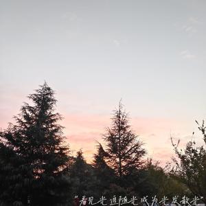 少扫BBBBB毛多水多
