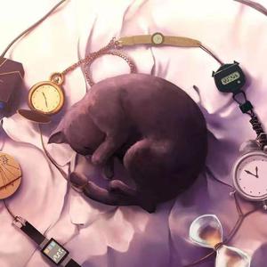 少扫BBBBB毛多水多
