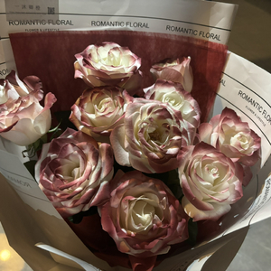 少扫BBBBB毛多水多
