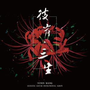 少扫BBBBB毛多水多
