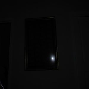 少扫BBBBB毛多水多
